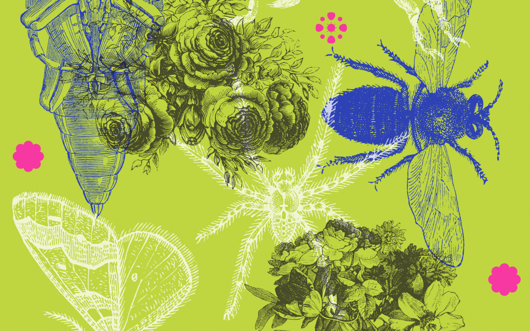 Aufruf zur Biologieolympiade an der GHG