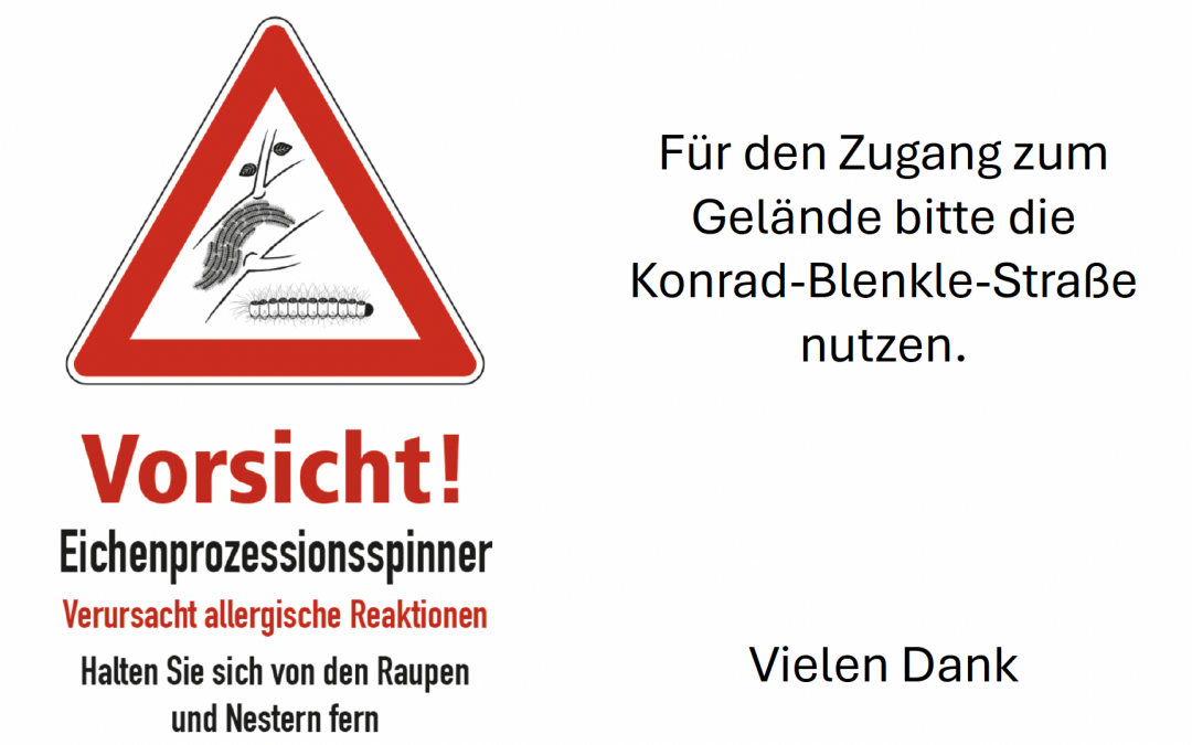Sperrung von Bereichen des Schulgeländes wegen Eichenprozessionsspinner
